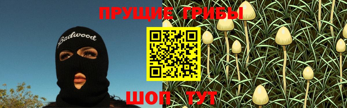 Людиново  Галлюциногенные грибы Psilocybine cubensis  Галлюциногенные грибы прущие грибы  Вход с VPN 